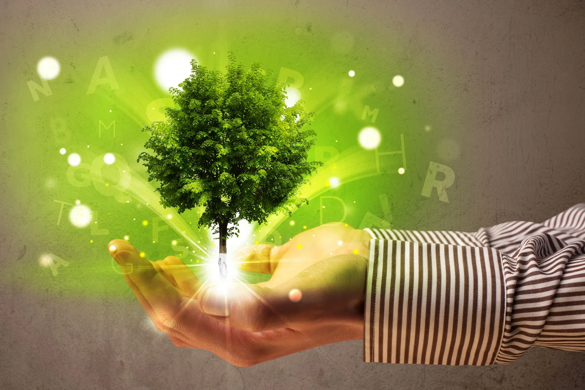Baum auf der Hand - Nachhaltigkeitsbericht 2025